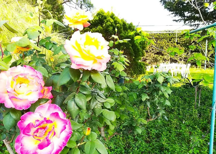 Incantevole Maddalena 빌라 *